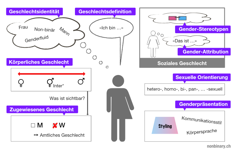 Grundlagen Zum Thema Geschlecht Nonbinarych 1658