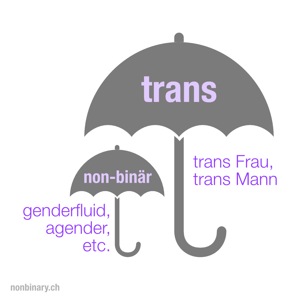 Schirm «trans» mit trans Frau, trans Mann – Schirm «non-binär» mit genderfluid, agender, etc.